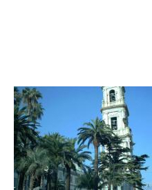 Avv. Angela Esentato