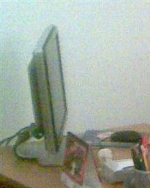 Avv. Antonella Caleo - Massa, MS Avv. Antonella Caleo - Massa, MS