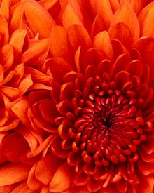 Avv. Antonietta Lusi - Capistrello, AQ Avv. Antonietta Lusi - Capistrello, AQ