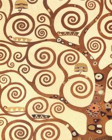 Avv. Carlotta Lorenzoni