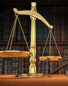 Avv. Daniela Tolomeo